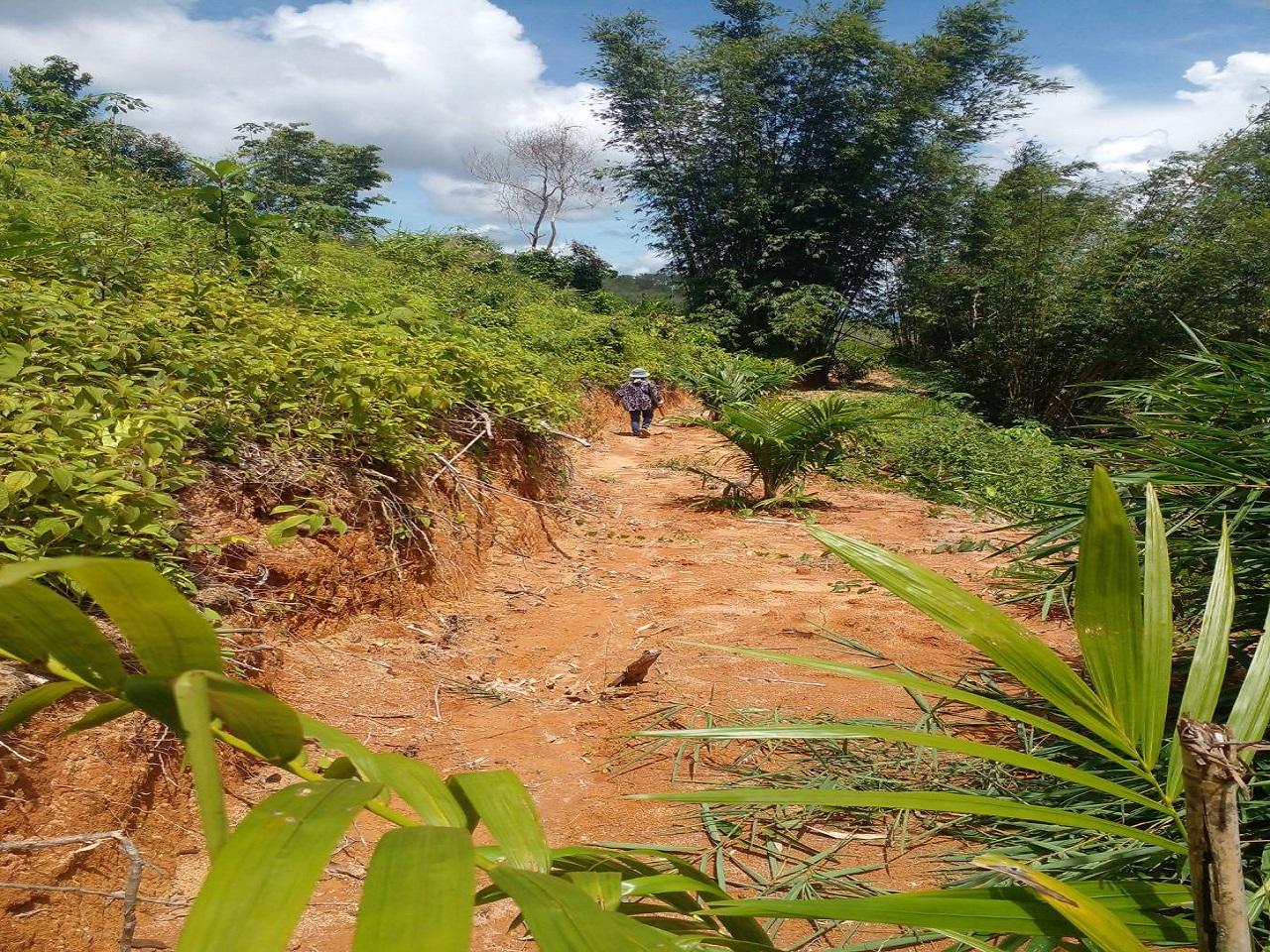 FHP-V4940 ท้ายเหมือง พังงา 