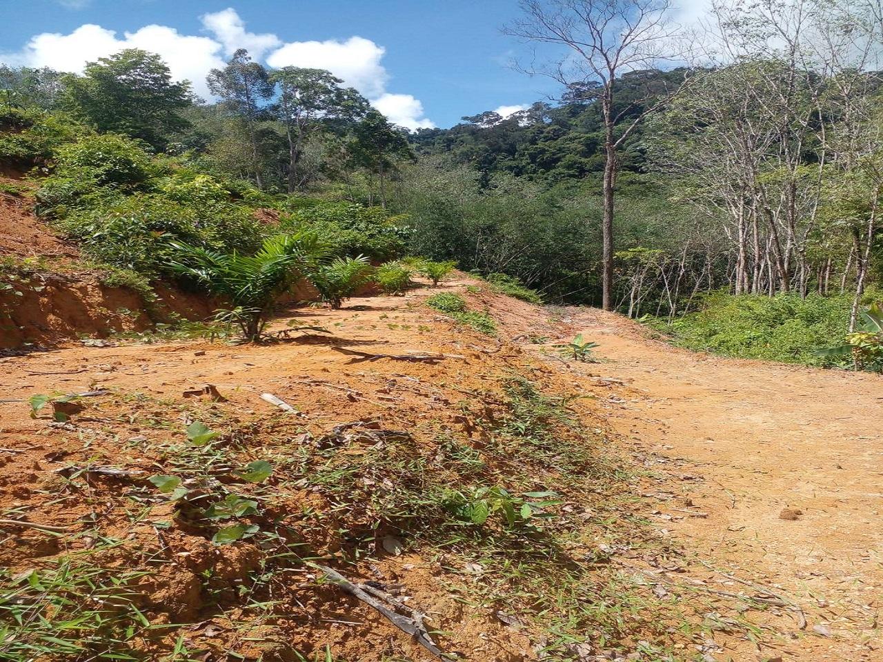 FHP-V4940 ท้ายเหมือง พังงา 