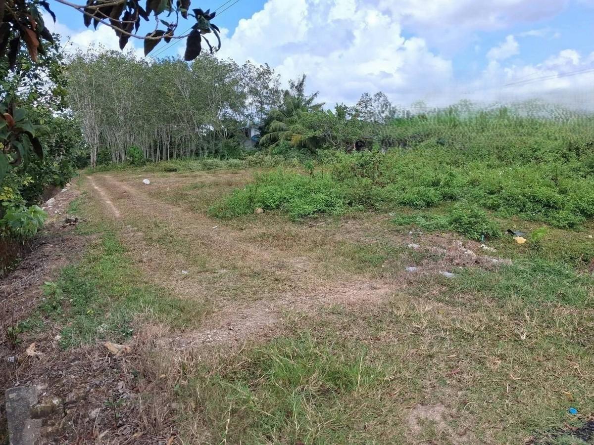 FHP-O5499 ศรีนครินทร์ พัทลุง 