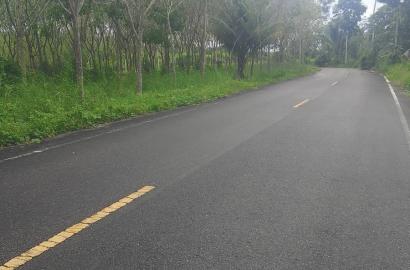 FHP-79396 ตะกั่วทุ่ง พังงา 