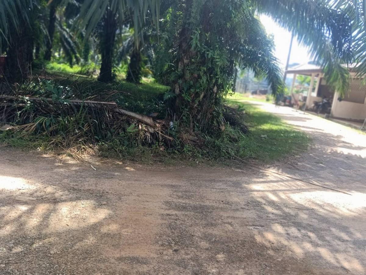 FHP-D9767 เมืองกระบี่ กระบี่ 