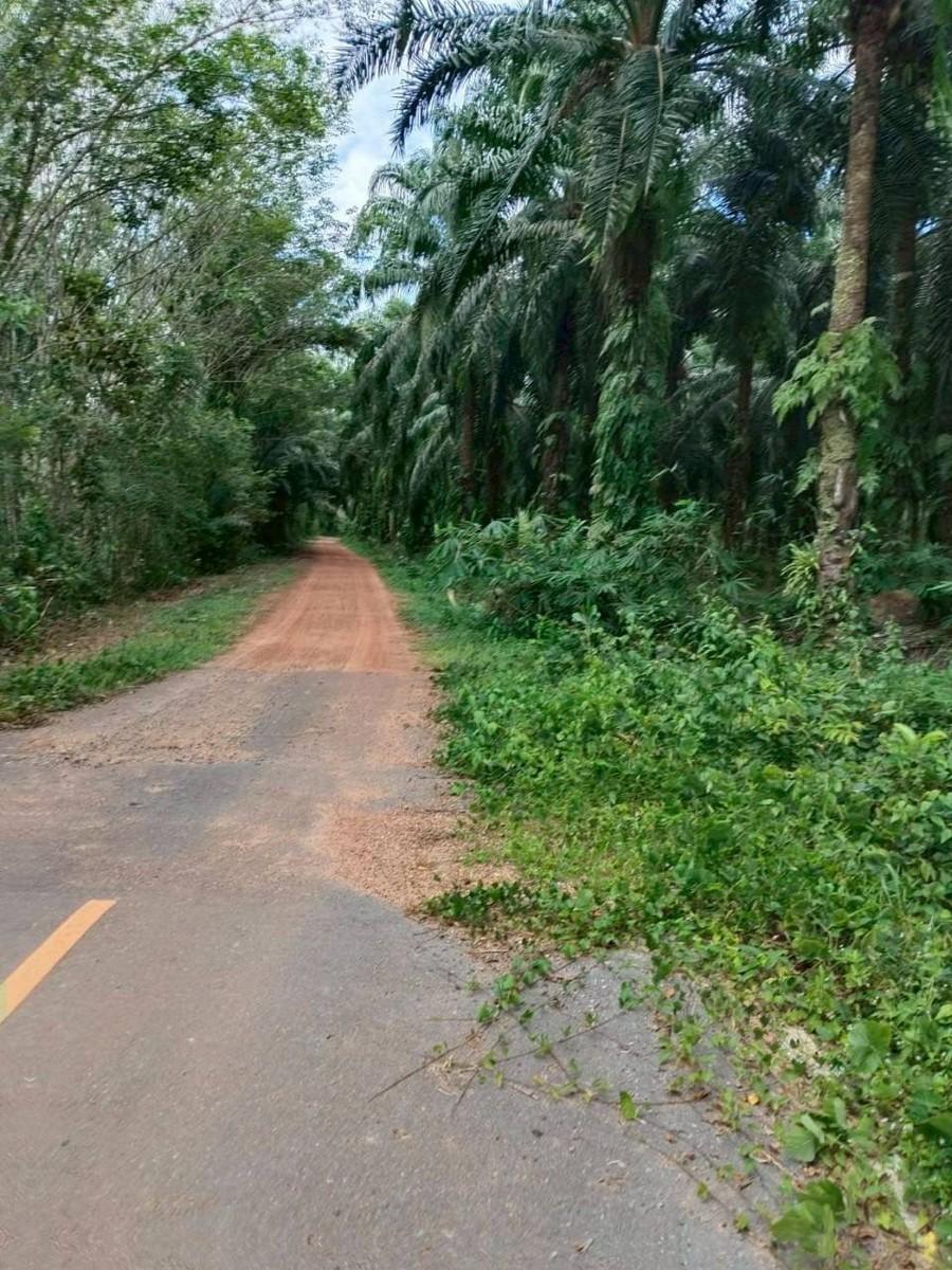 FHP-V6390 หาดใหญ่ สงขลา 