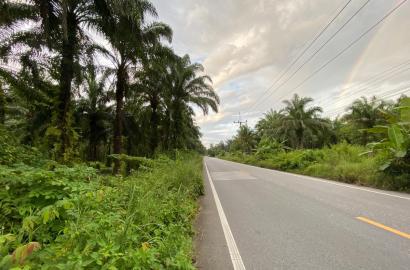 FHP-H3557 เมืองพังงา พังงา 