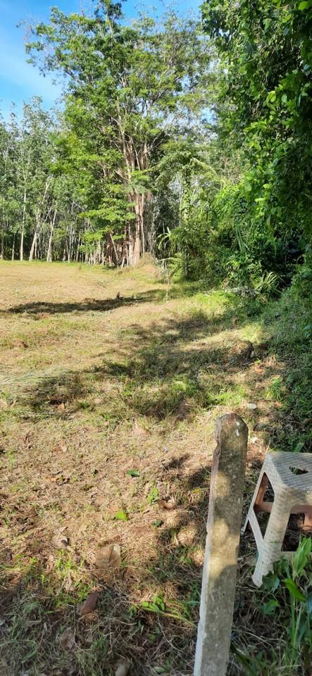 FHP-N1220 ถลาง ภูเก็ต 