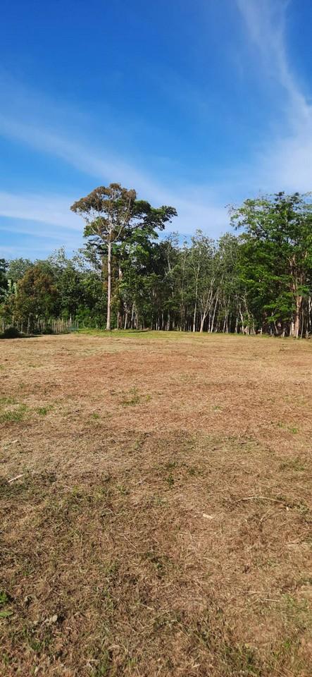 FHP-N1220 ถลาง ภูเก็ต 