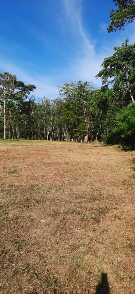 FHP-N1220 ถลาง ภูเก็ต 