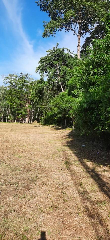 FHP-N1220 ถลาง ภูเก็ต 