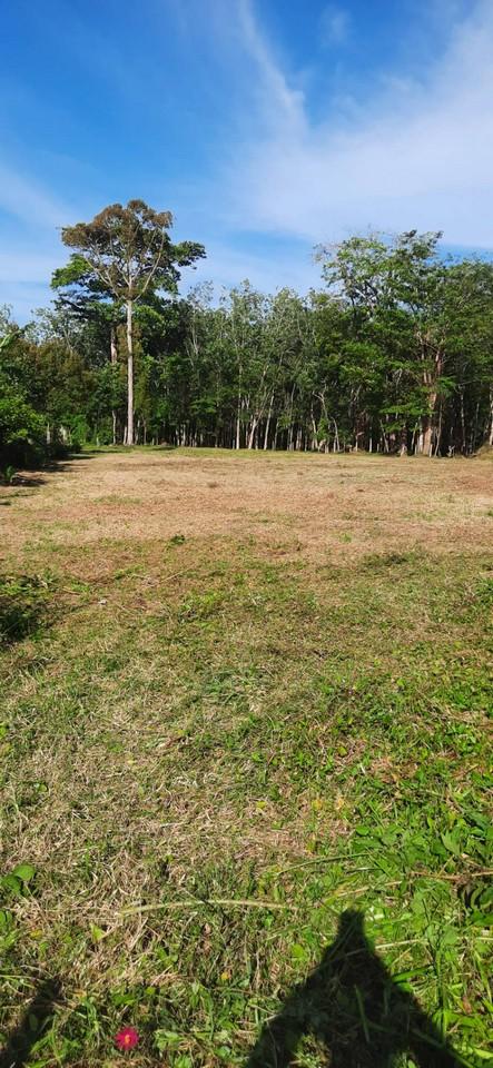 FHP-N1220 ถลาง ภูเก็ต 