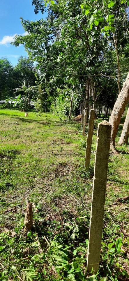 FHP-N1220 ถลาง ภูเก็ต 