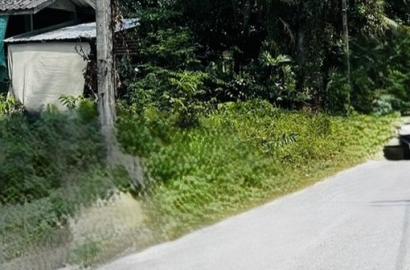 FHP-E8649 ถลาง ภูเก็ต 